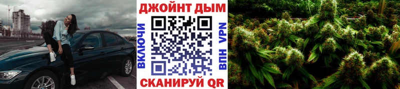 Конопля сатива  Купить где  Альметьевск 